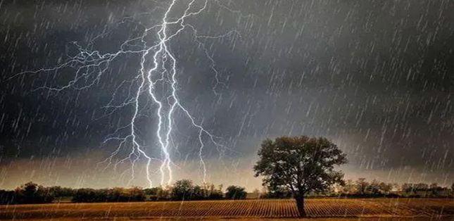 雷電的種類有哪些？